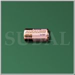Battery (6 V)